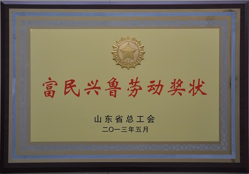 2013年8月，公司获得山东省总工会授予“富民兴鲁劳动奖状”称号。